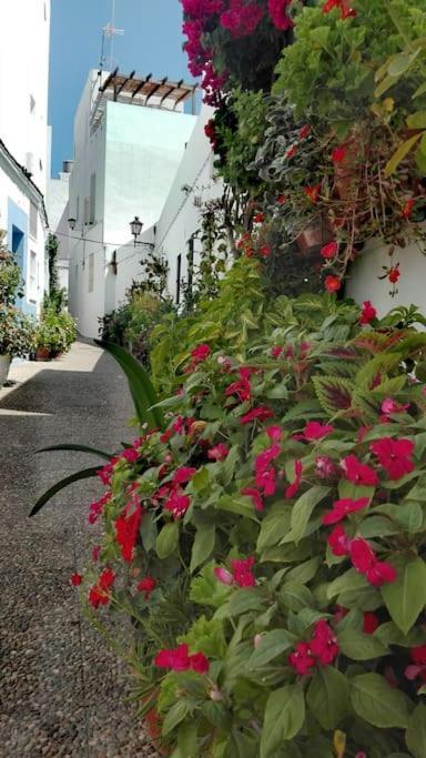 Corazon De Conil Daire Conil De La Frontera Dış mekan fotoğraf