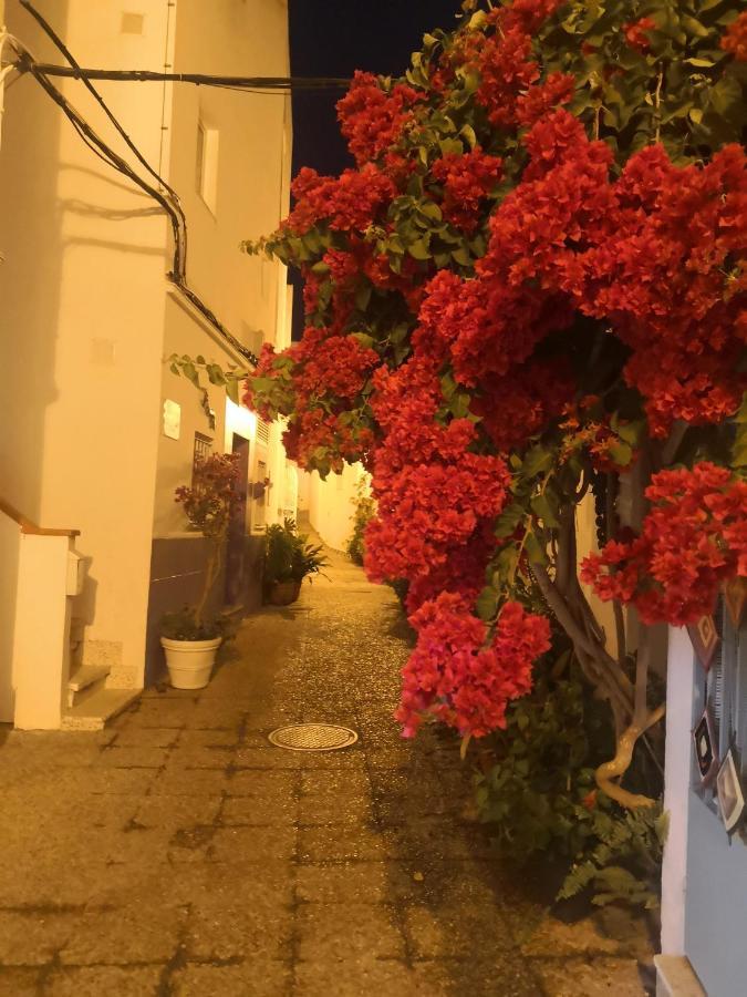 Corazon De Conil Daire Conil De La Frontera Dış mekan fotoğraf