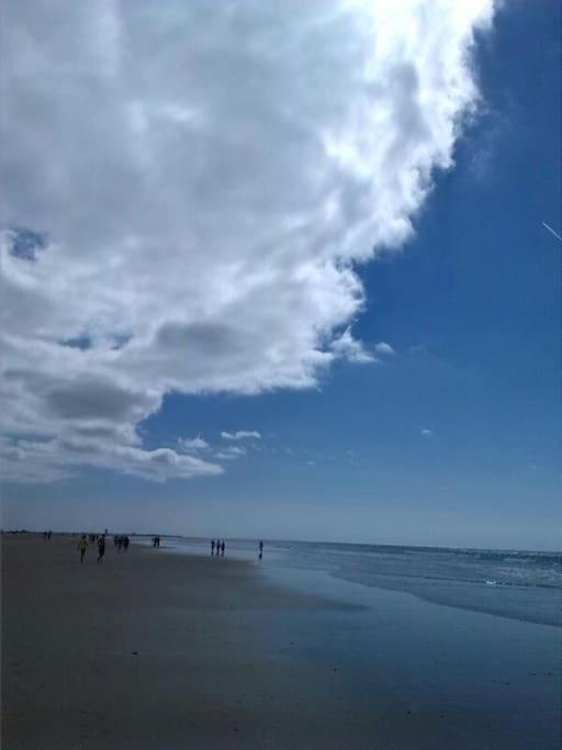 Corazon De Conil Daire Conil De La Frontera Dış mekan fotoğraf