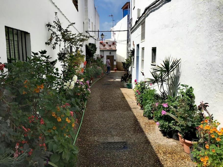 Corazon De Conil Daire Conil De La Frontera Dış mekan fotoğraf