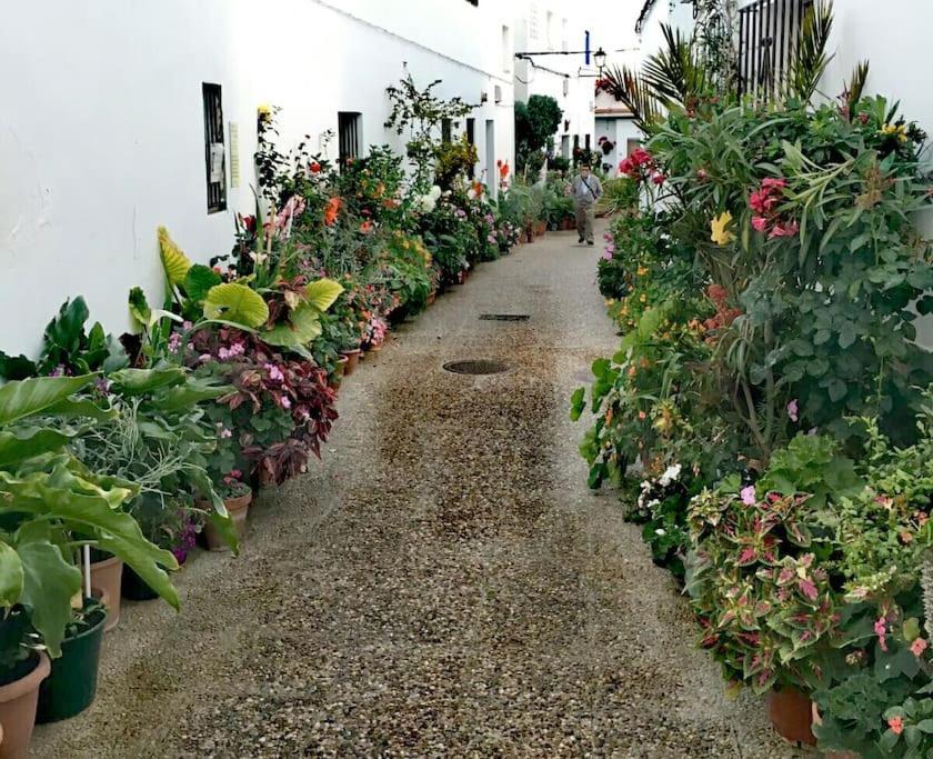 Corazon De Conil Daire Conil De La Frontera Dış mekan fotoğraf