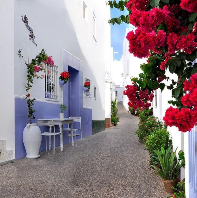 Corazon De Conil Daire Conil De La Frontera Dış mekan fotoğraf