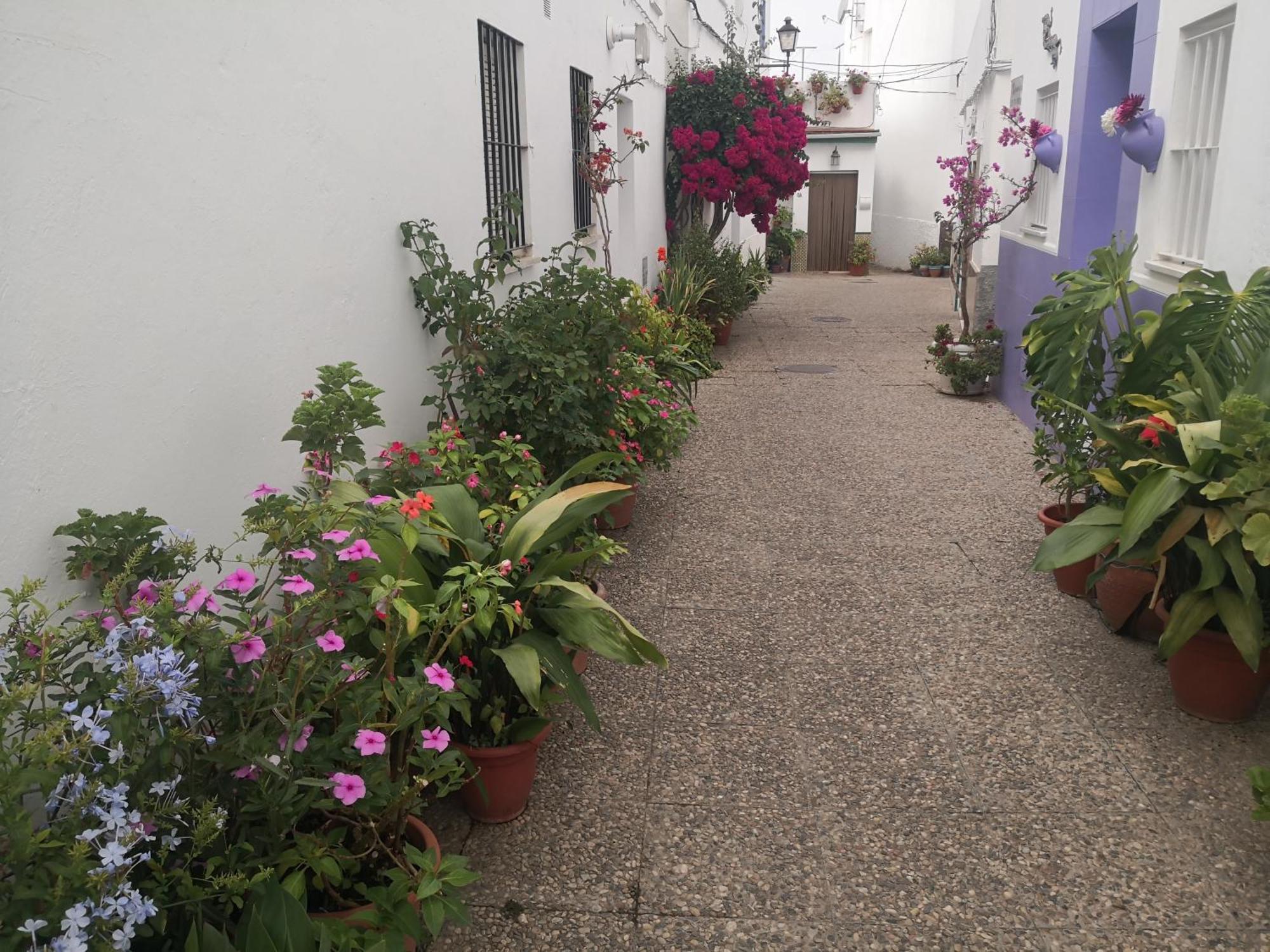 Corazon De Conil Daire Conil De La Frontera Dış mekan fotoğraf
