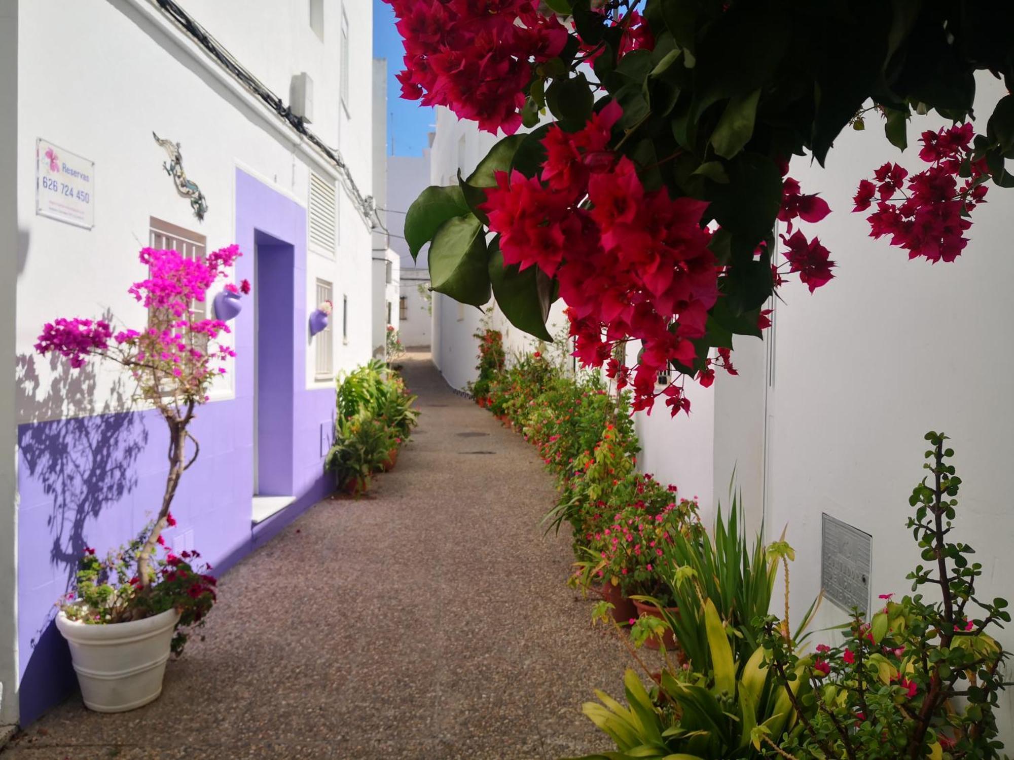 Corazon De Conil Daire Conil De La Frontera Dış mekan fotoğraf